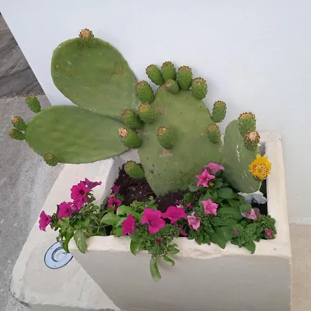 Bed & Breakfast La Corte Dei Sogni 3*